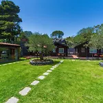Bed & Breakfast Etna Hut Nicolosi