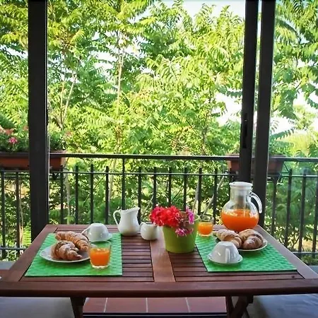 Etna Hut Bed & Breakfast Nicolosi